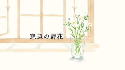 「窓辺の野花」vol.01/ヒメジョオン - TOKYO TEA JOURNAL 巻頭連載