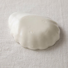 画像をギャラリービューアに読み込む, 亀田文 貝がら小皿