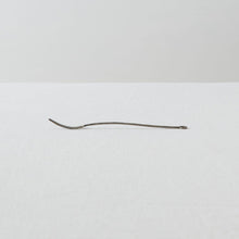 画像をギャラリービューアに読み込む, 小西光裕 ふたまた