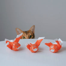 画像をギャラリービューアに読み込む, 上ボシ武内製飴所 金魚ねぶた(りんご羊羹)