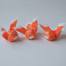 画像をギャラリービューアに読み込む, 上ボシ武内製飴所 金魚ねぶた(りんご羊羹)