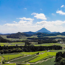 画像をギャラリービューアに読み込む, 004 YABUKITA YAME やぶきた やめ