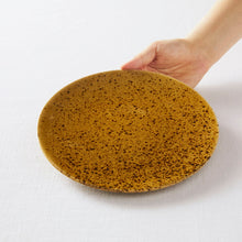 画像をギャラリービューアに読み込む, SAKUZAN 作山窯 Crater