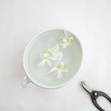 画像をギャラリービューアに読み込む, 亀田大介 白磁片口酒器