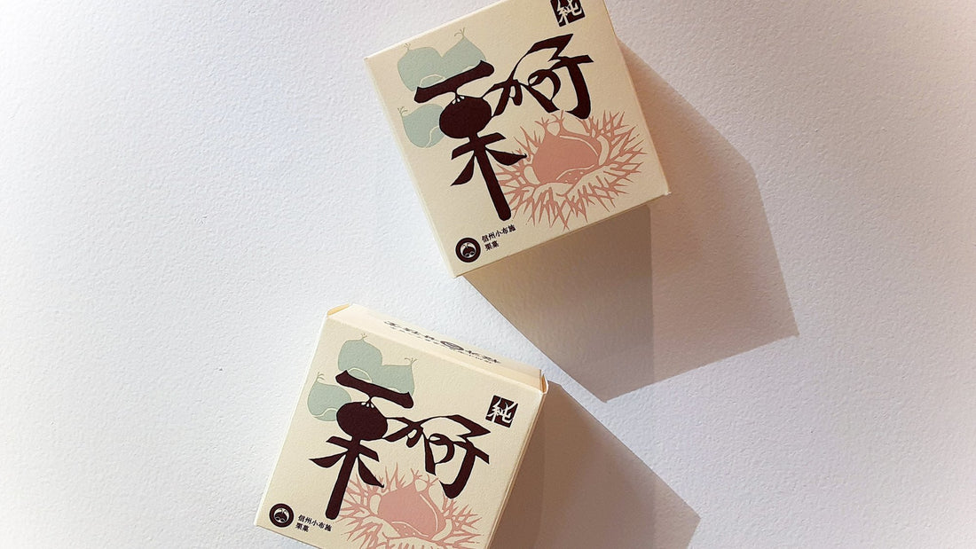【お菓子とお茶】ゴロッと大きな栗の贅沢な逸品。信州小布施 桜井甘精堂「ひとくち栗かの子」と香ばしく軽やかな「047釜炒りはるもえぎ」でホッコリ冬時間