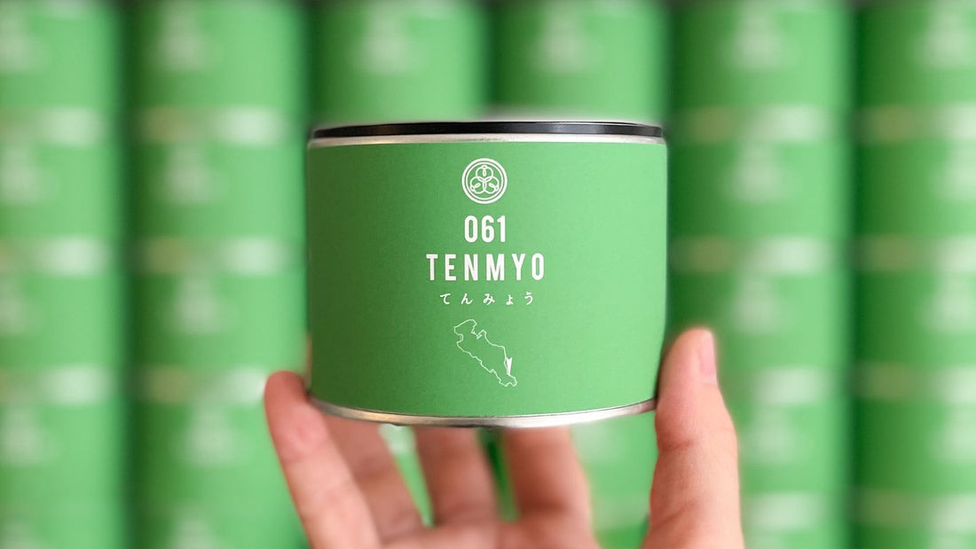 味覚を研ぎ澄ましていただきたい一杯。京都府産の玉露『061 てんみょう』【2024年10月試飲茶会】