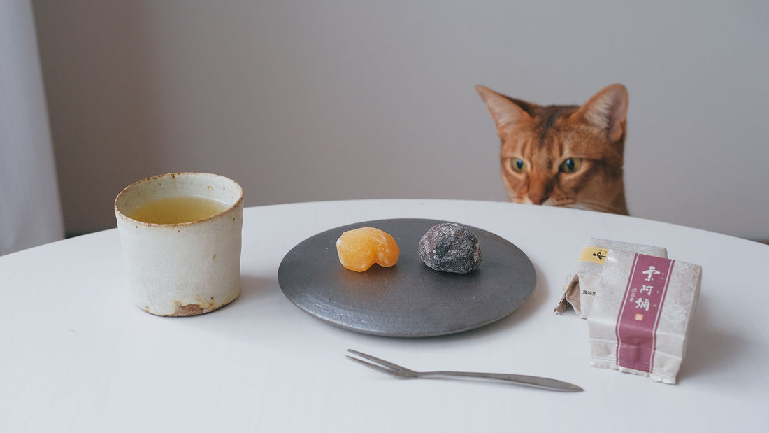 お菓子とお茶（と猫）｜京都府・若菜屋の栗阿彌と「001 はるもえぎ」