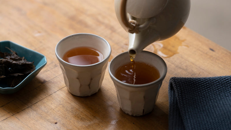 空海が関係している？ 研究者・堀江祐範さんに聞いた「後発酵茶」を巡る乳酸発酵ミステリー