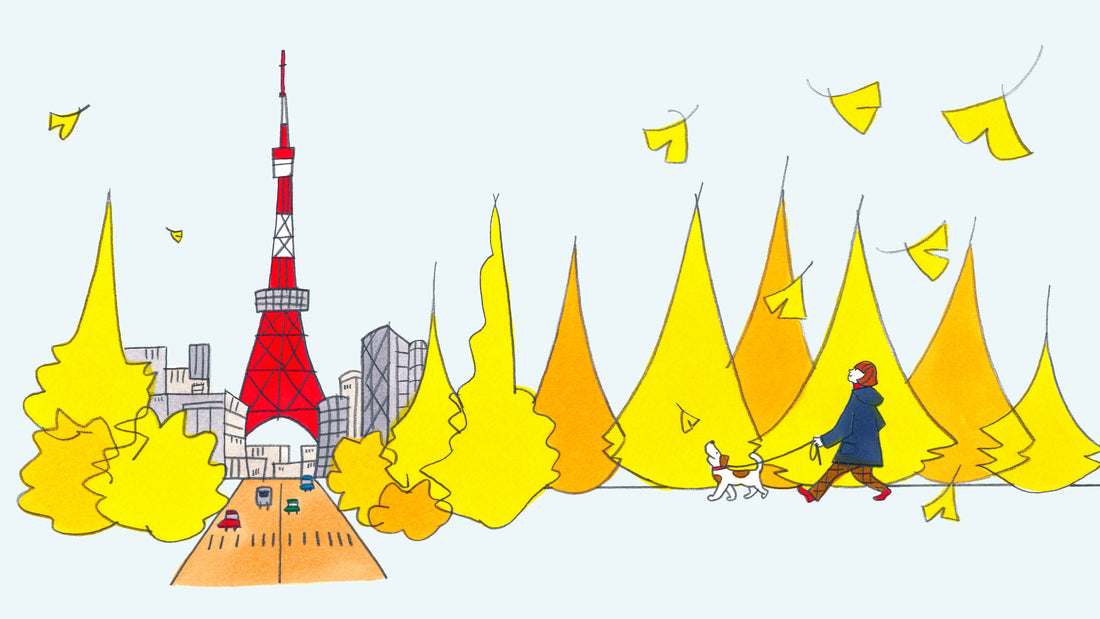 【TTJ】NEXT ISSUE - VOL.55「お茶と一緒に、秋を満喫しよう！」