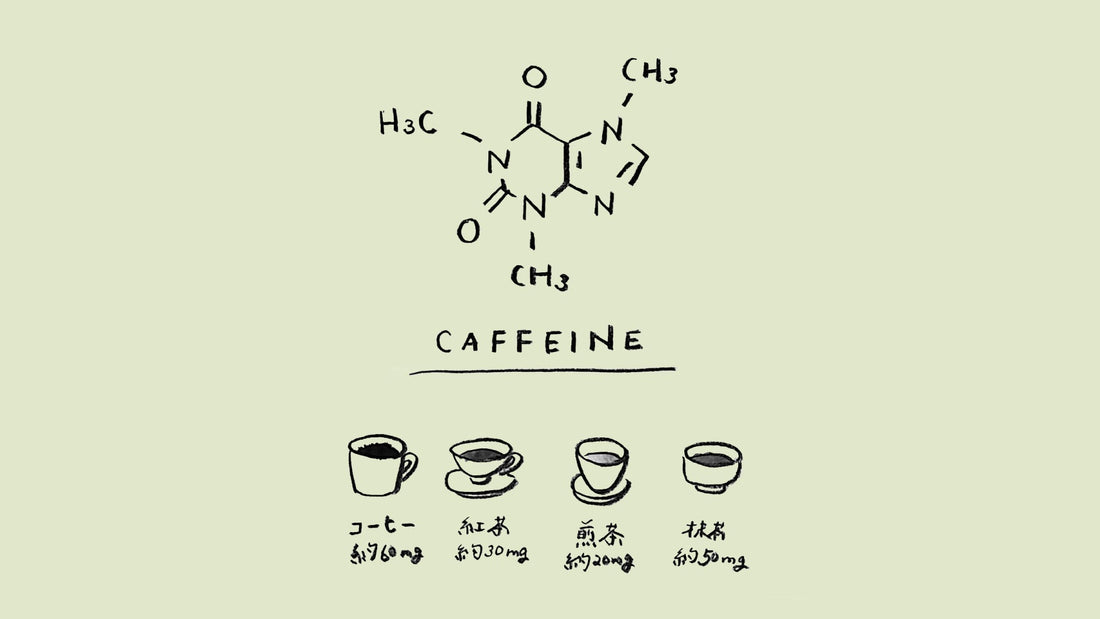「カフェイン」茶ことば大辞典 The Dictionary of Tea Terminology #23