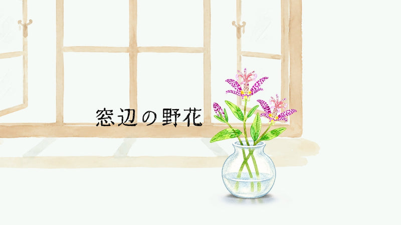 「窓辺の野花」vol.03／ホトトギス - TOKYO TEA JOURNAL 巻頭連載