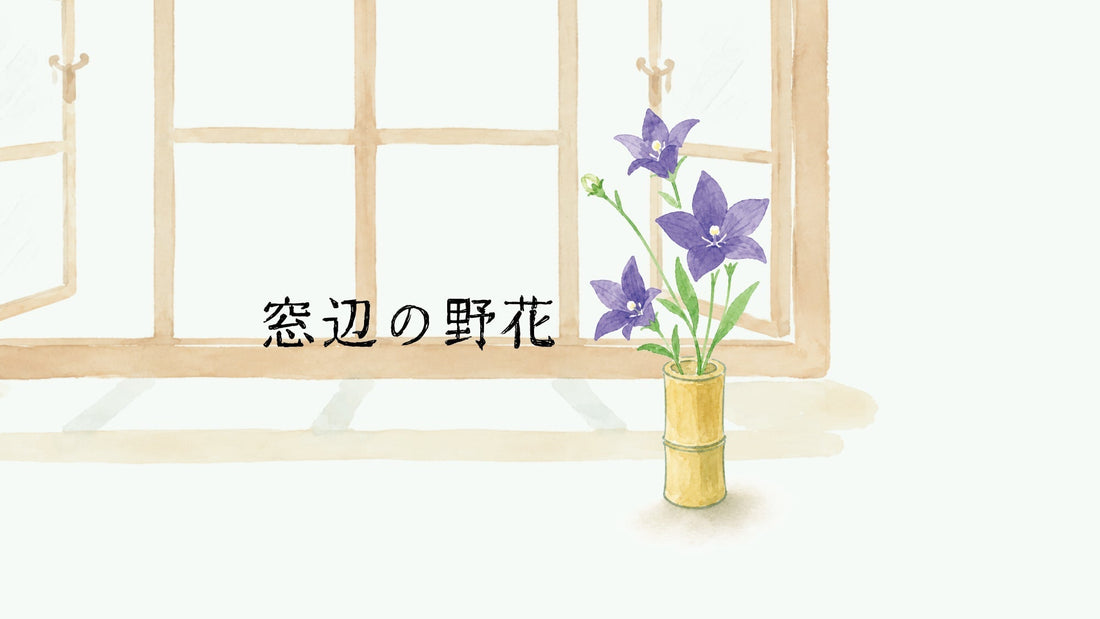 「窓辺の野花」vol.02／桔梗 - TOKYO TEA JOURNAL 巻頭連載