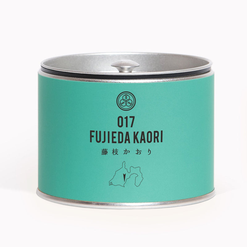 017 FUJIEDAKAORI 藤枝かおり