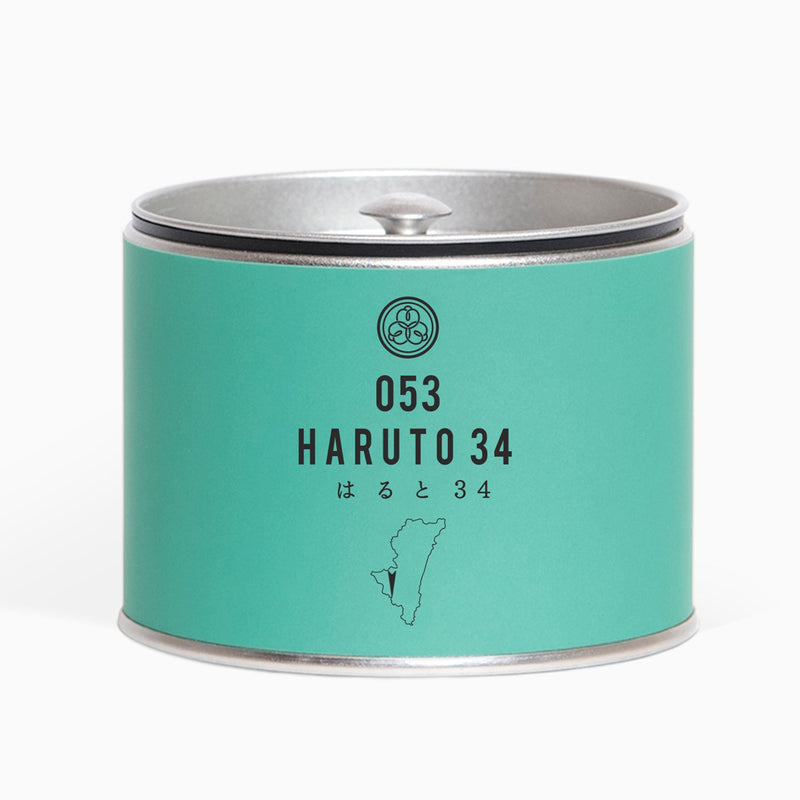 053 HARUTO34 はると34