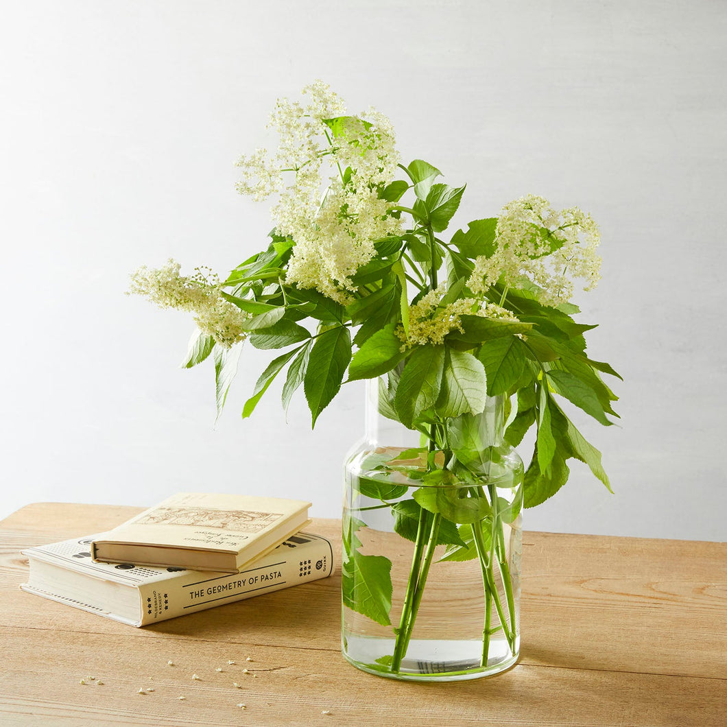 SHISEI フラワーベース ネック