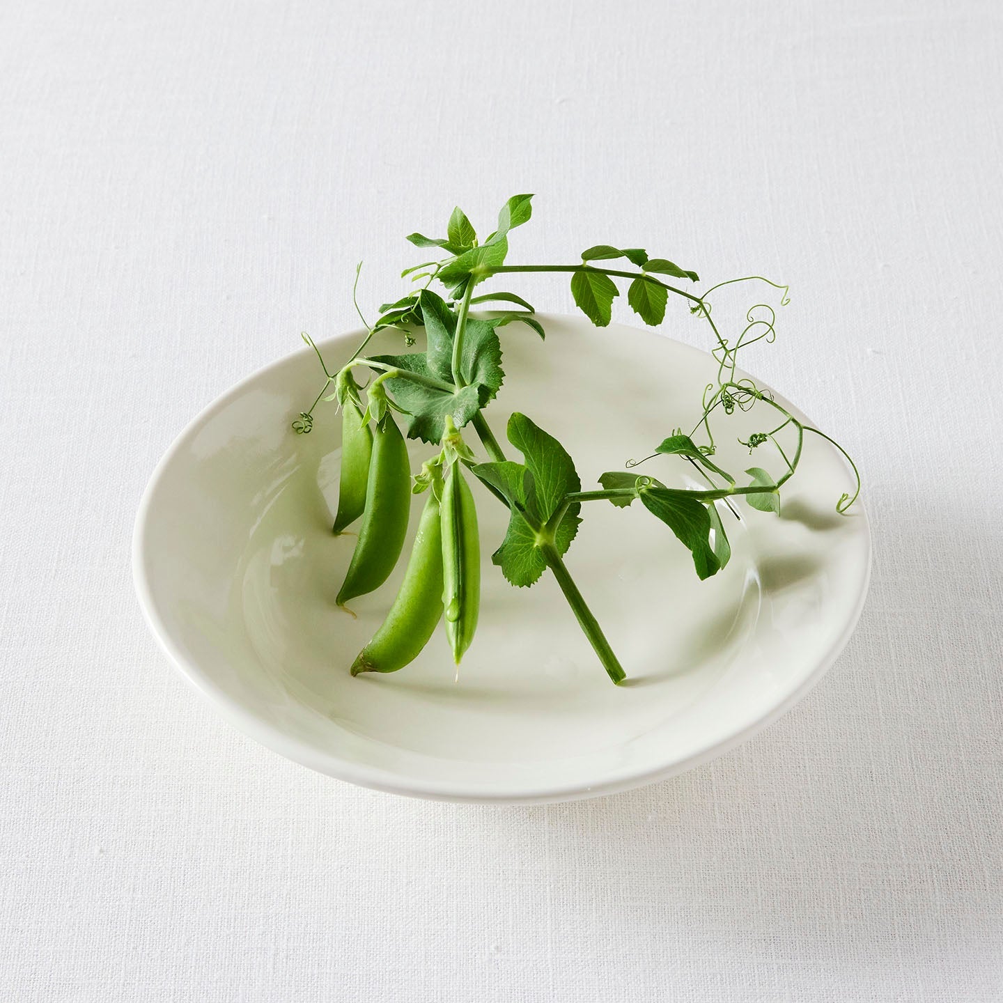 光泉窯 リム付きボウル(光泉窯) – 煎茶堂東京オンライン