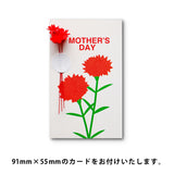 【母の日ギフト】ハーブティー＆フルーツ入り和紅茶 ティーバッグセット 6