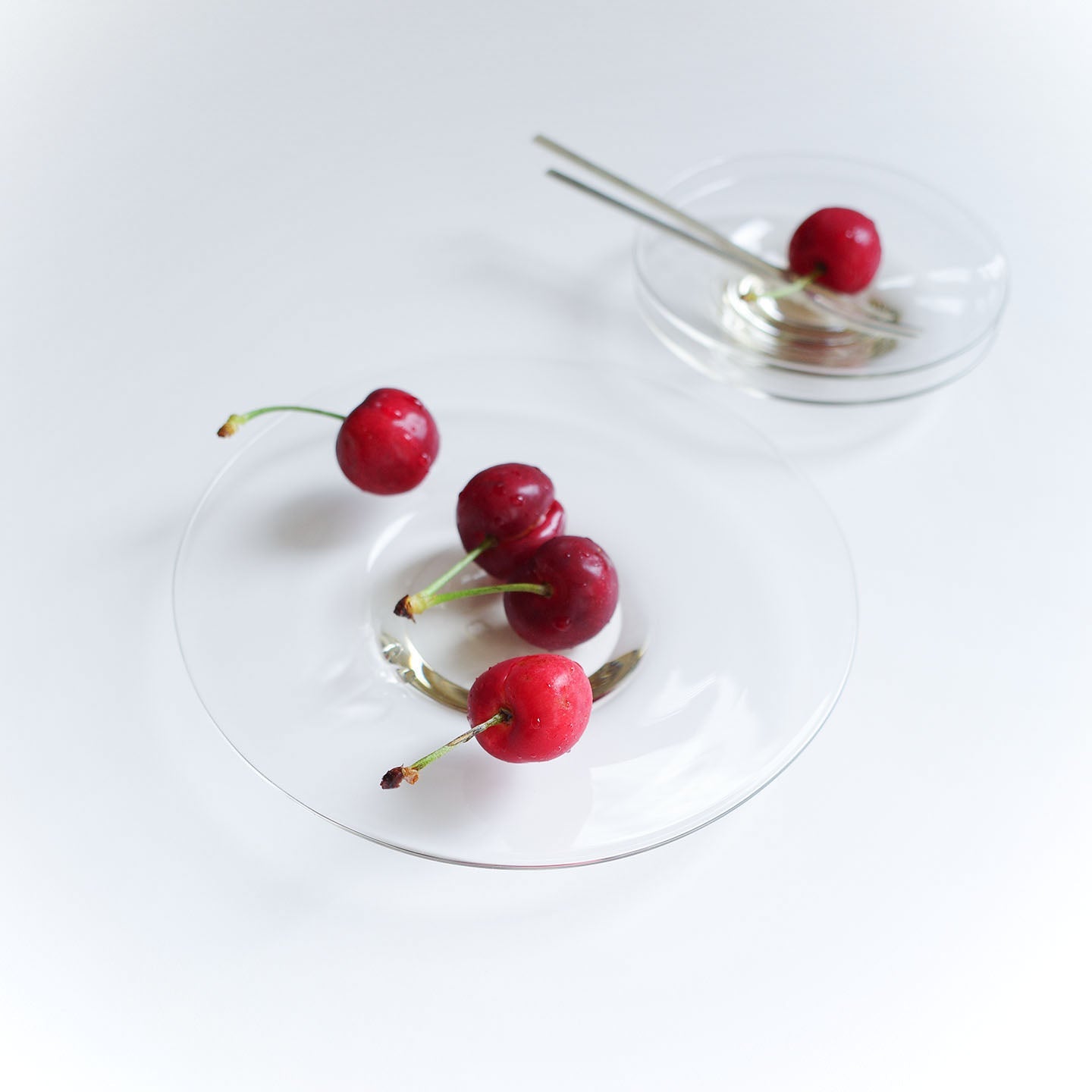 WASHIZUKA GLASS STUDIO dish(WASHIZUKA GLASS STUDIO) – 煎茶堂東京