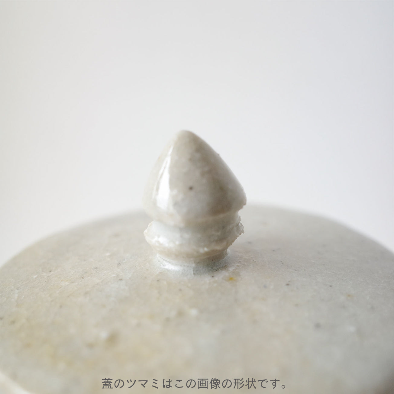 タナカシゲオ 堅手縦茶壷(タナカシゲオ) – 煎茶堂東京オンライン