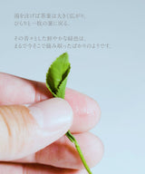 干支のお茶「午年」2026 15